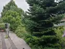 Pest megye - Gödöllő