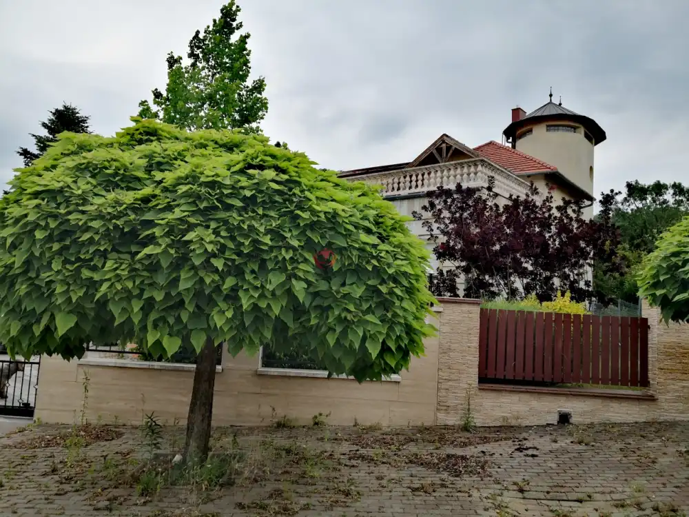 Pest megye - Gödöllő