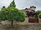 Pest megye - Gödöllő