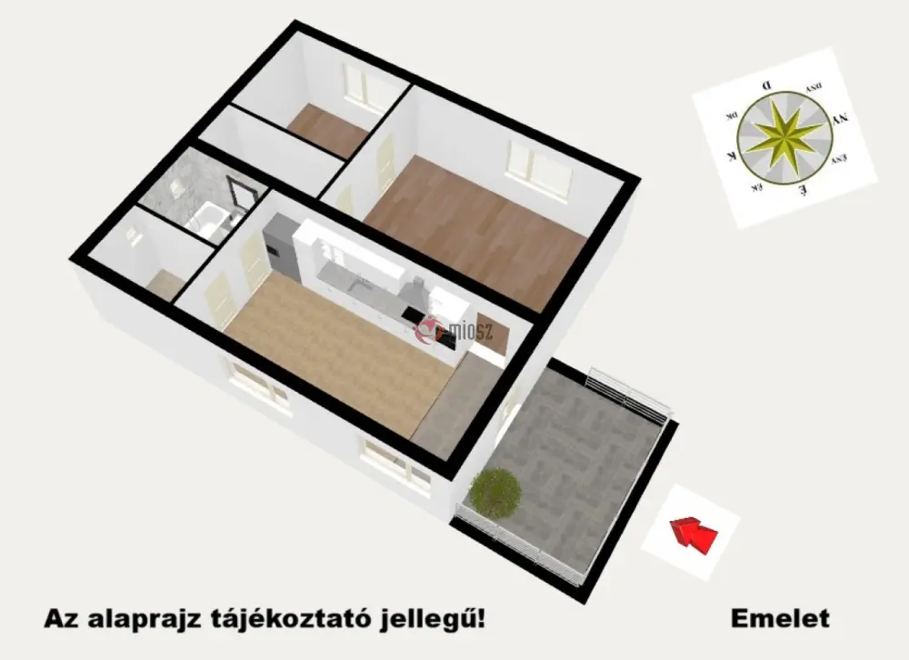 Pest megye - Gomba
