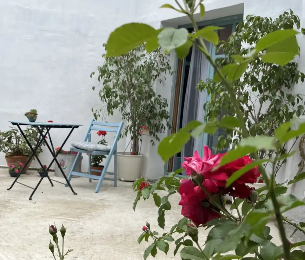 Fejér megye - Gyúró