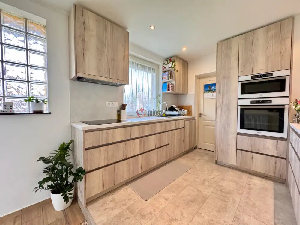 Pest megye - Halásztelek