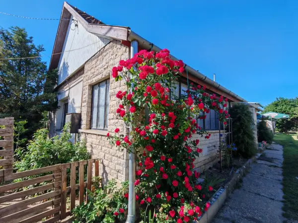 Eladó családi ház, Isaszeg 3 szoba 80 m² 48.95 M Ft
