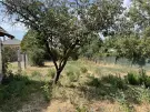Pest megye - Isaszeg