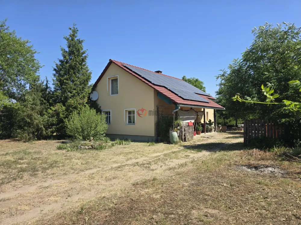 Bács-Kiskun megye - Jánoshalma