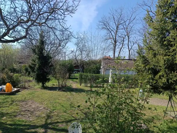 Eladó családi ház, Kecskemét 2 szoba 155 m² 88 M Ft