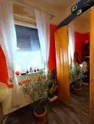 Pest megye - Kerepes