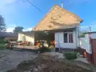Bács-Kiskun megye - Madaras