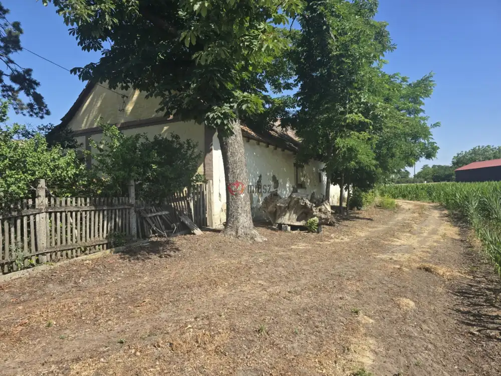 Bács-Kiskun megye - Madaras