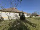 Bács-Kiskun megye - Madaras