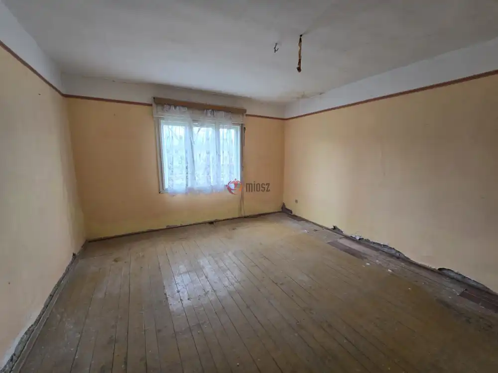 Bács-Kiskun megye - Madaras