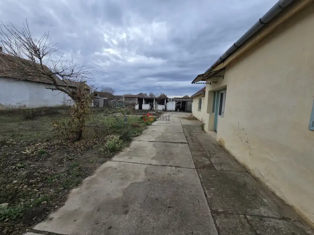 Bács-Kiskun megye - Madaras