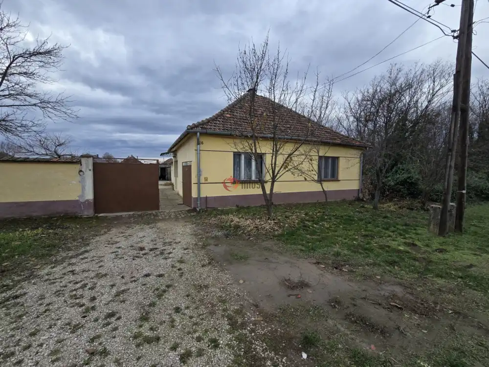 Bács-Kiskun megye - Madaras