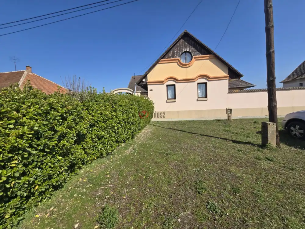 Bács-Kiskun megye - Madaras