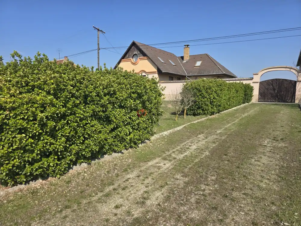 Bács-Kiskun megye - Madaras