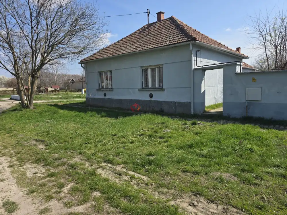 Bács-Kiskun megye - Madaras