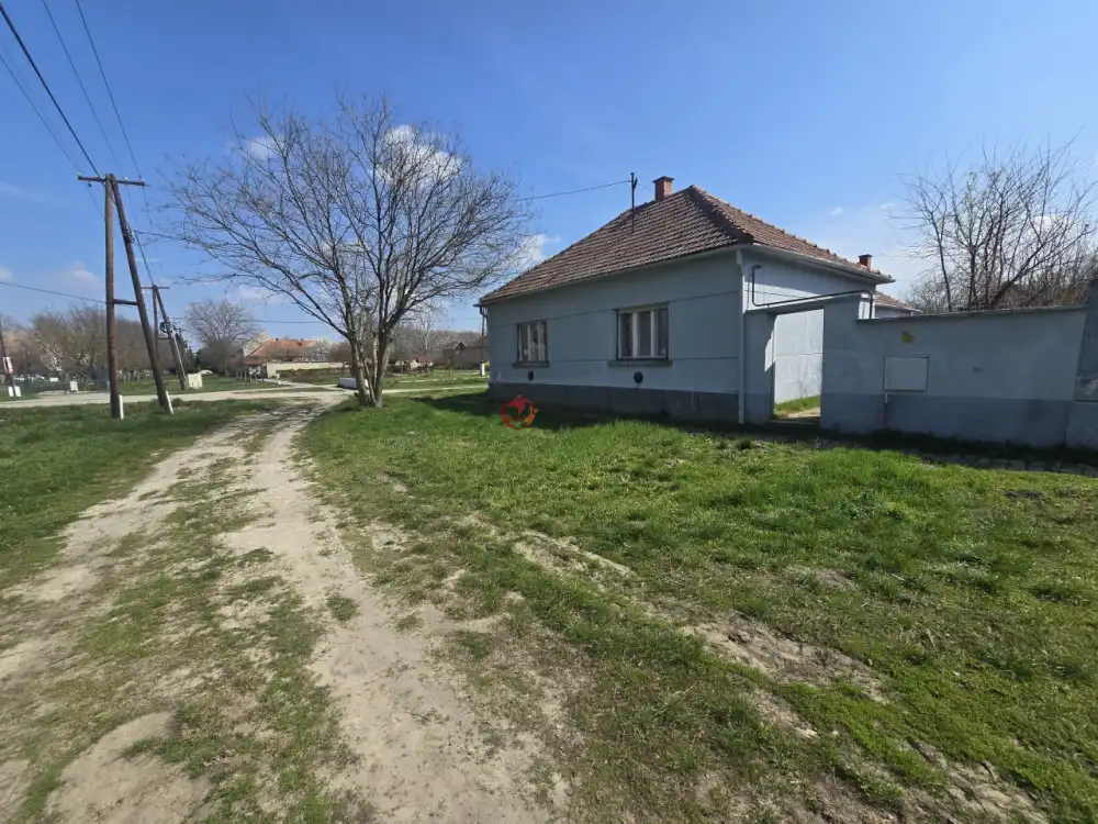 Bács-Kiskun megye - Madaras