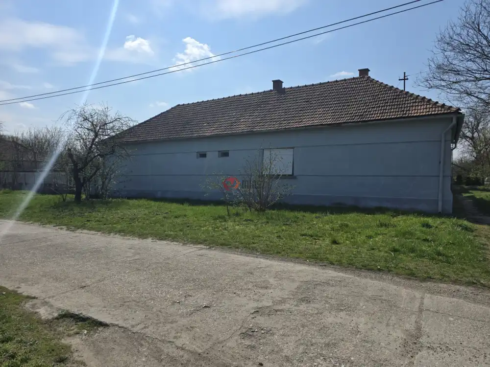 Bács-Kiskun megye - Madaras