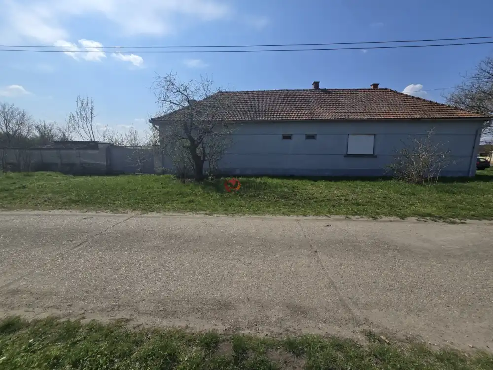 Bács-Kiskun megye - Madaras