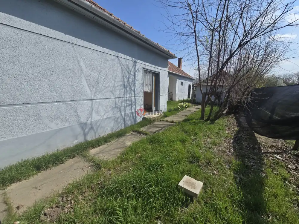 Bács-Kiskun megye - Madaras