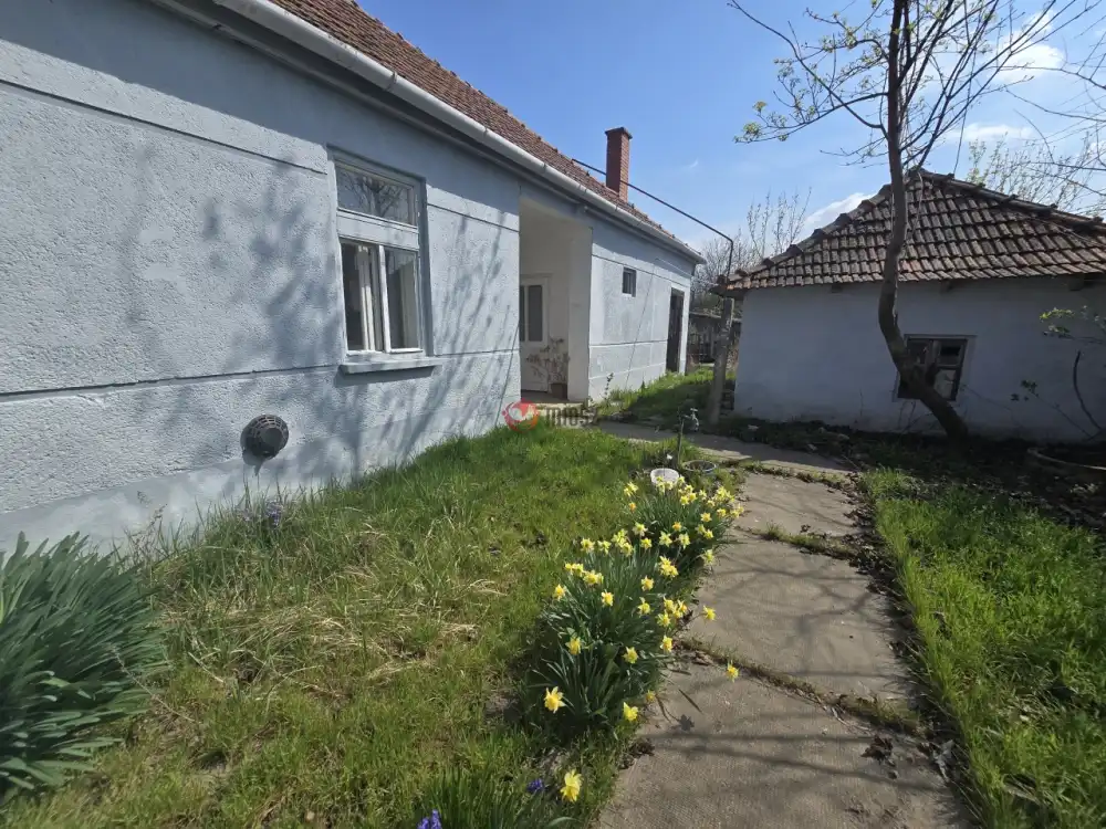 Bács-Kiskun megye - Madaras