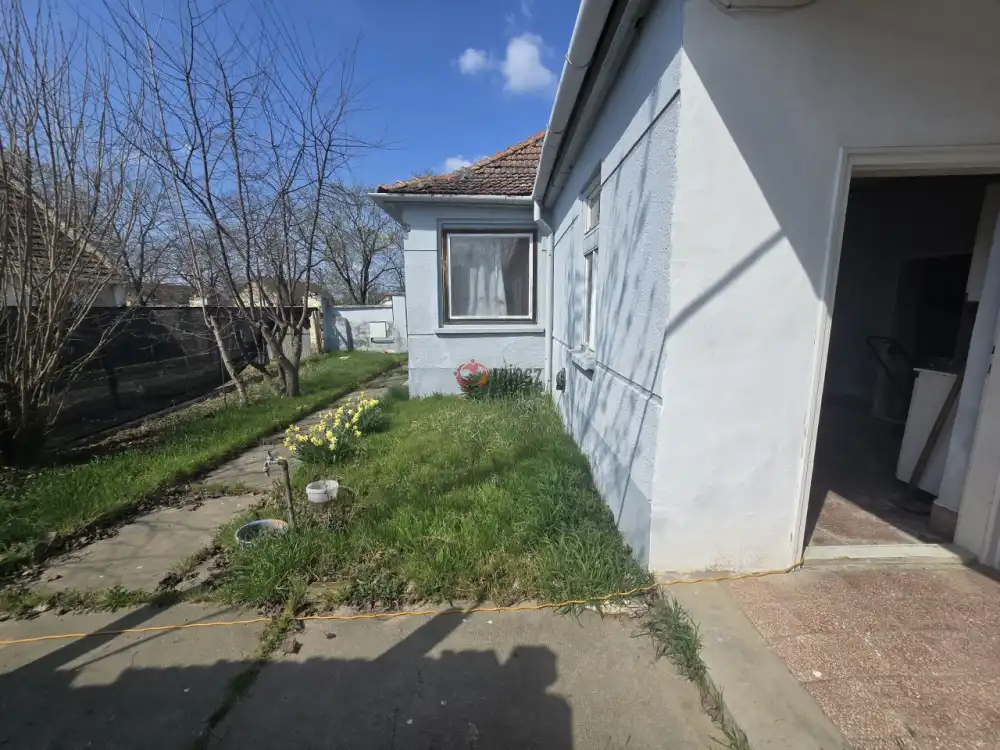 Bács-Kiskun megye - Madaras