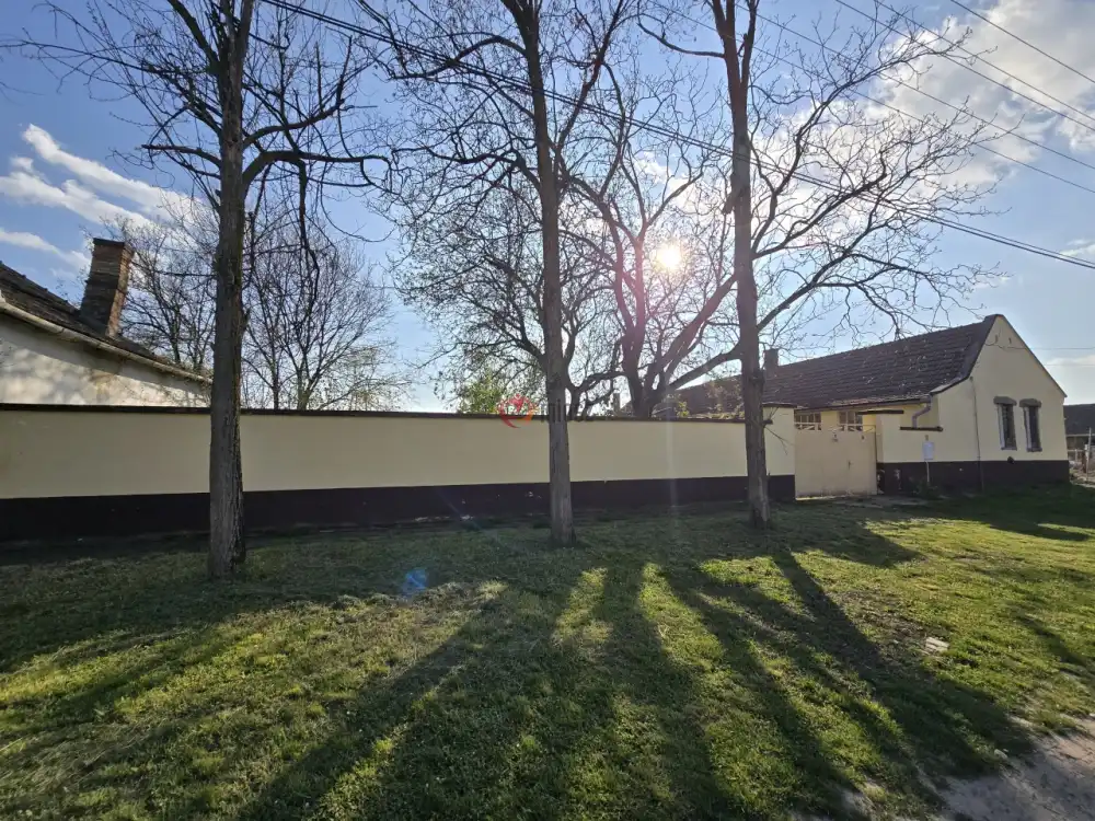 Bács-Kiskun megye - Madaras