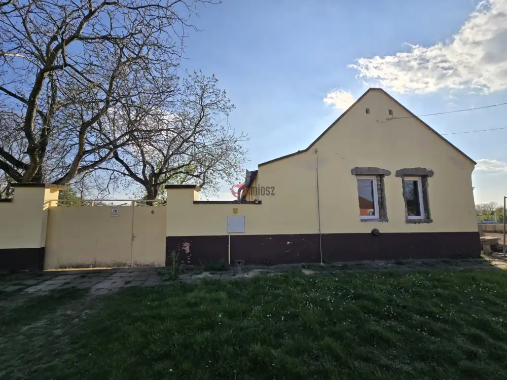 Bács-Kiskun megye - Madaras