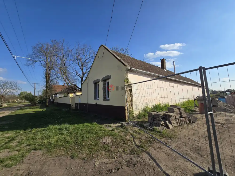 Bács-Kiskun megye - Madaras