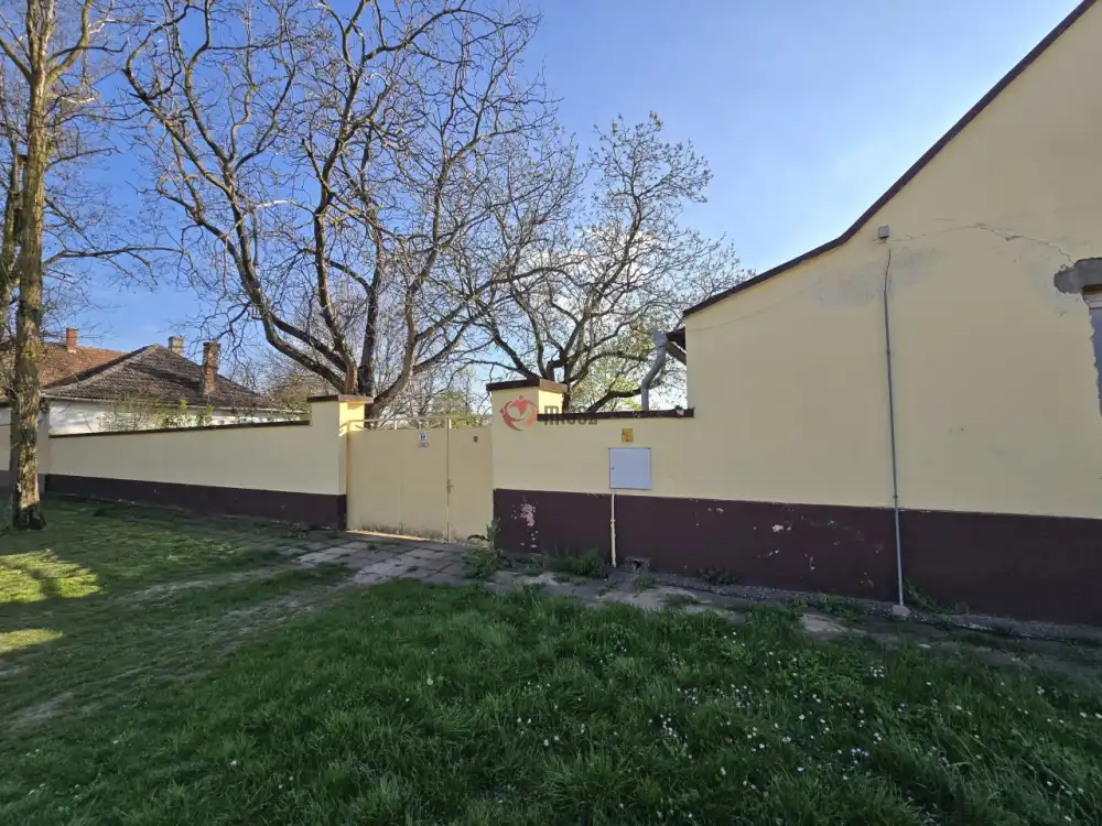 Bács-Kiskun megye - Madaras