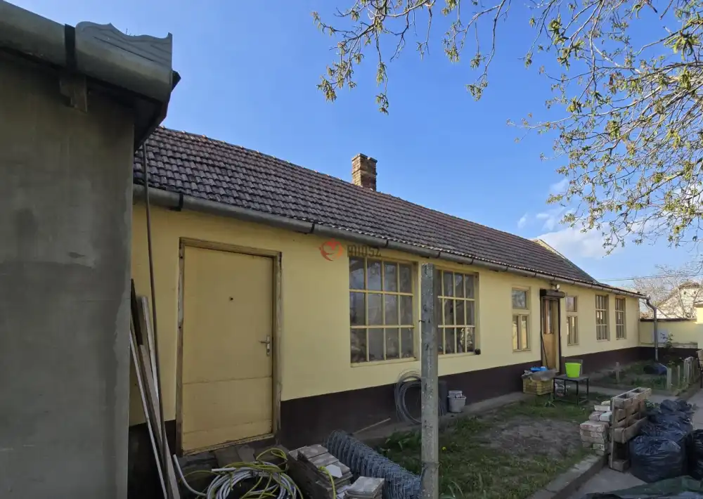 Bács-Kiskun megye - Madaras