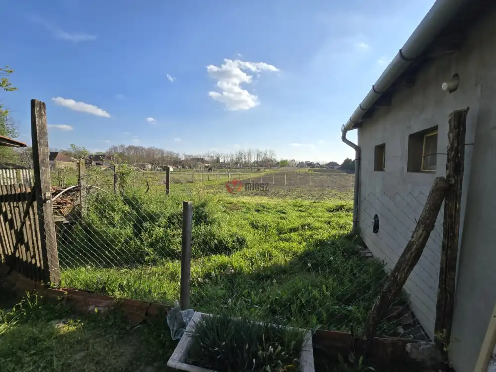 Bács-Kiskun megye - Madaras