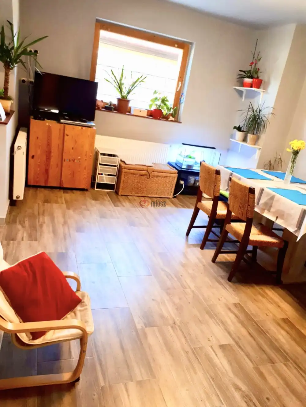 Pest megye - Maglód