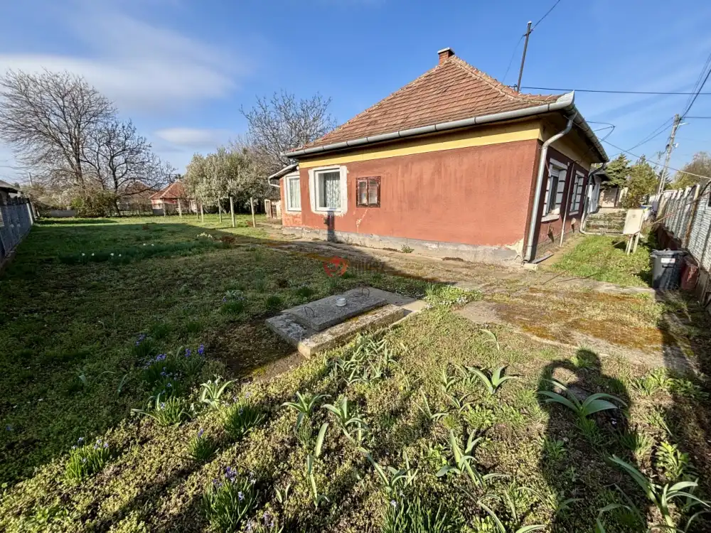 Pest megye - Maglód