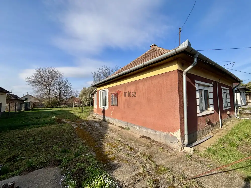 Pest megye - Maglód