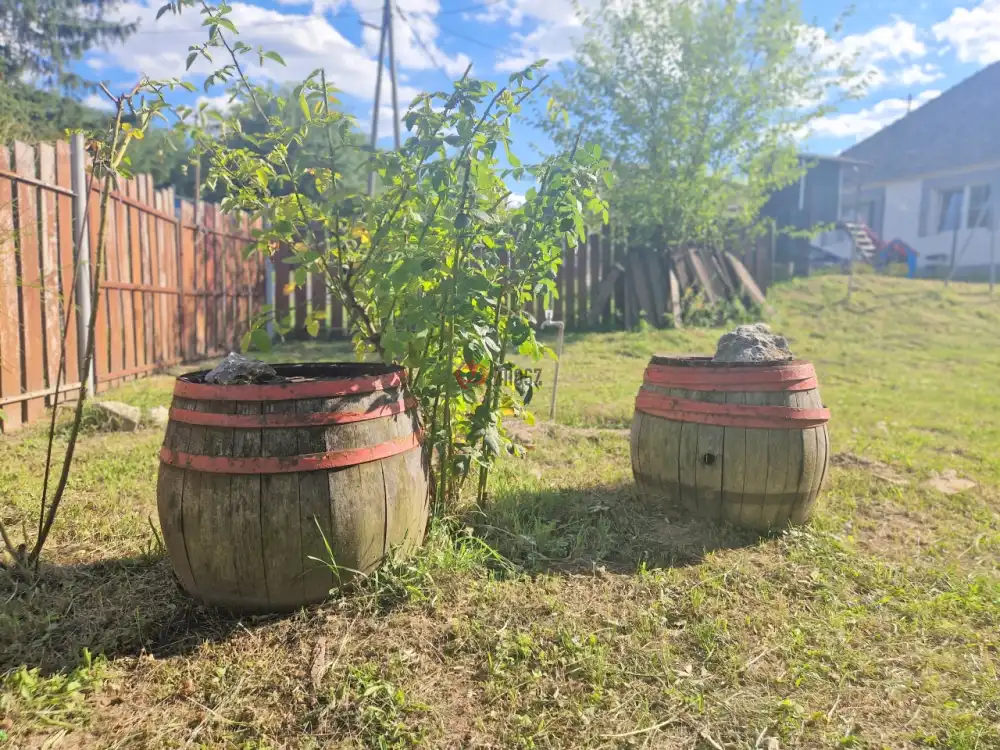 Vas megye - Mikosszéplak