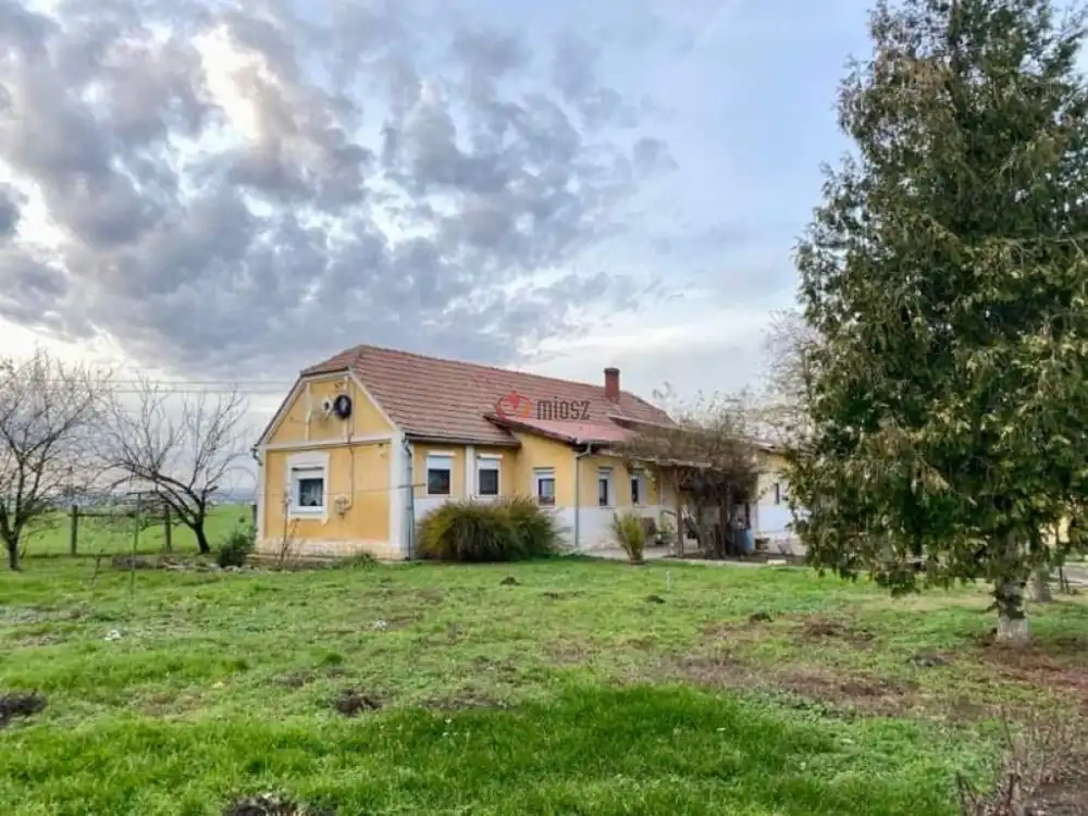 Baranya megye - Mohács