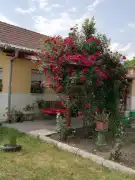 Baranya megye - Mohács