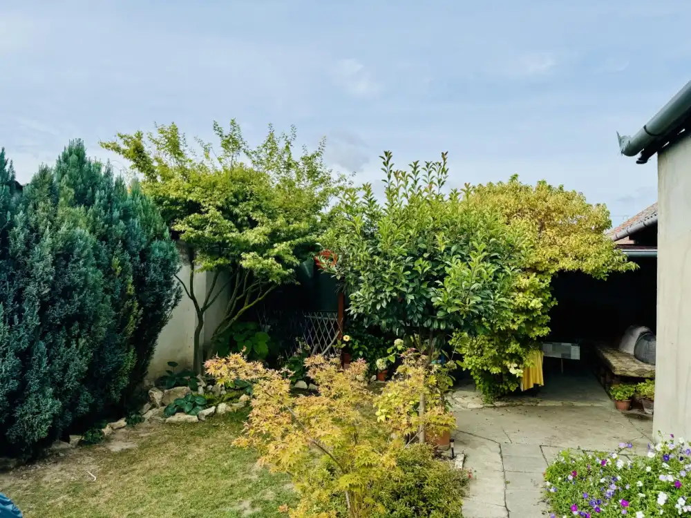 Baranya megye - Mohács