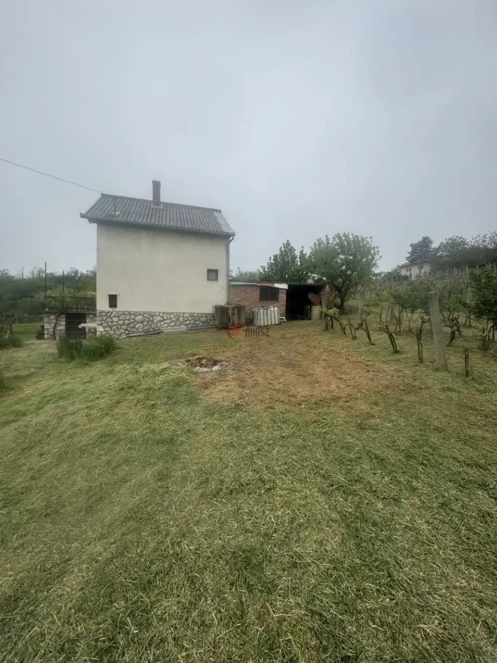 Baranya megye - Mohács