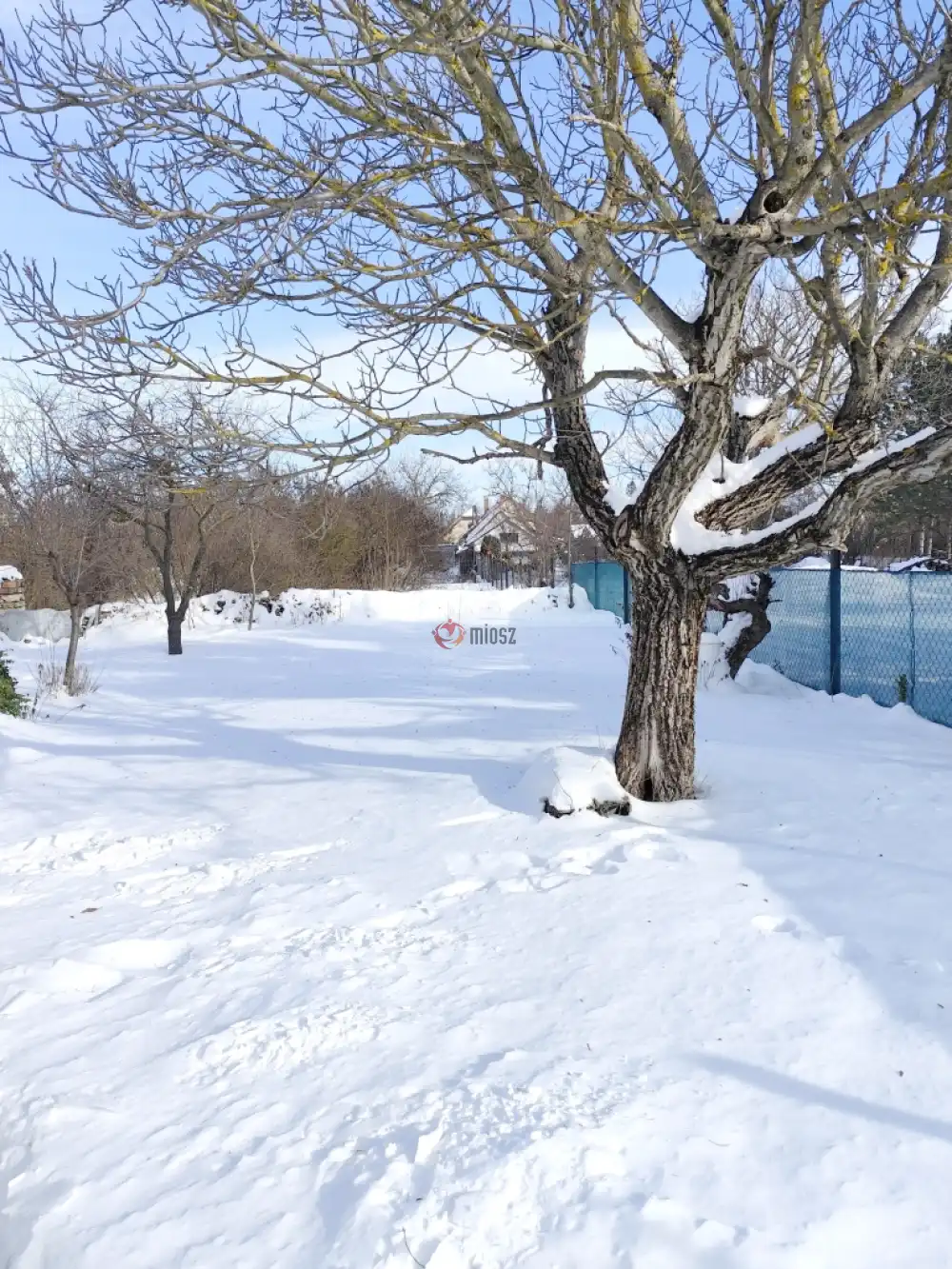 Veszprém megye - Nagyvázsony