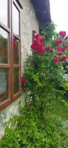 Veszprém megye - Nagyvázsony