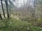 Zala megye - Nemespátró