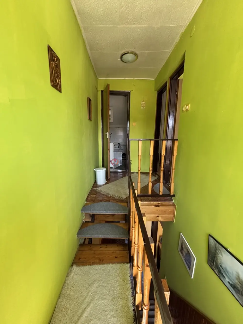 Győr-Moson-Sopron megye - Nyúl