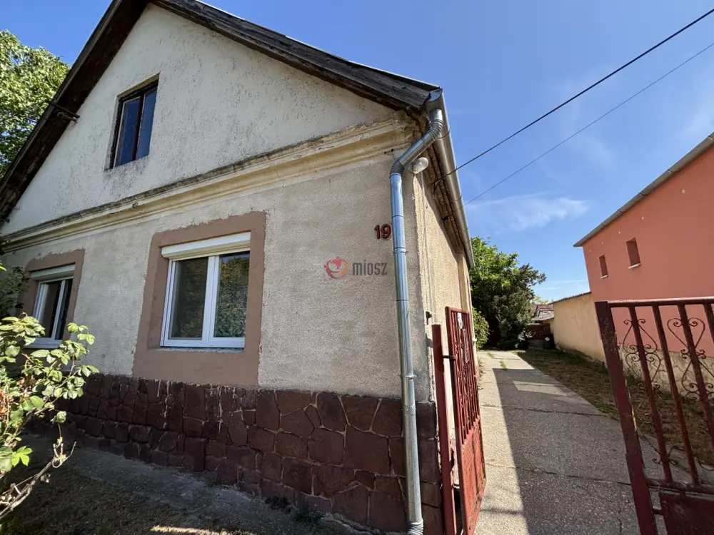 Győr-Moson-Sopron megye - Nyúl