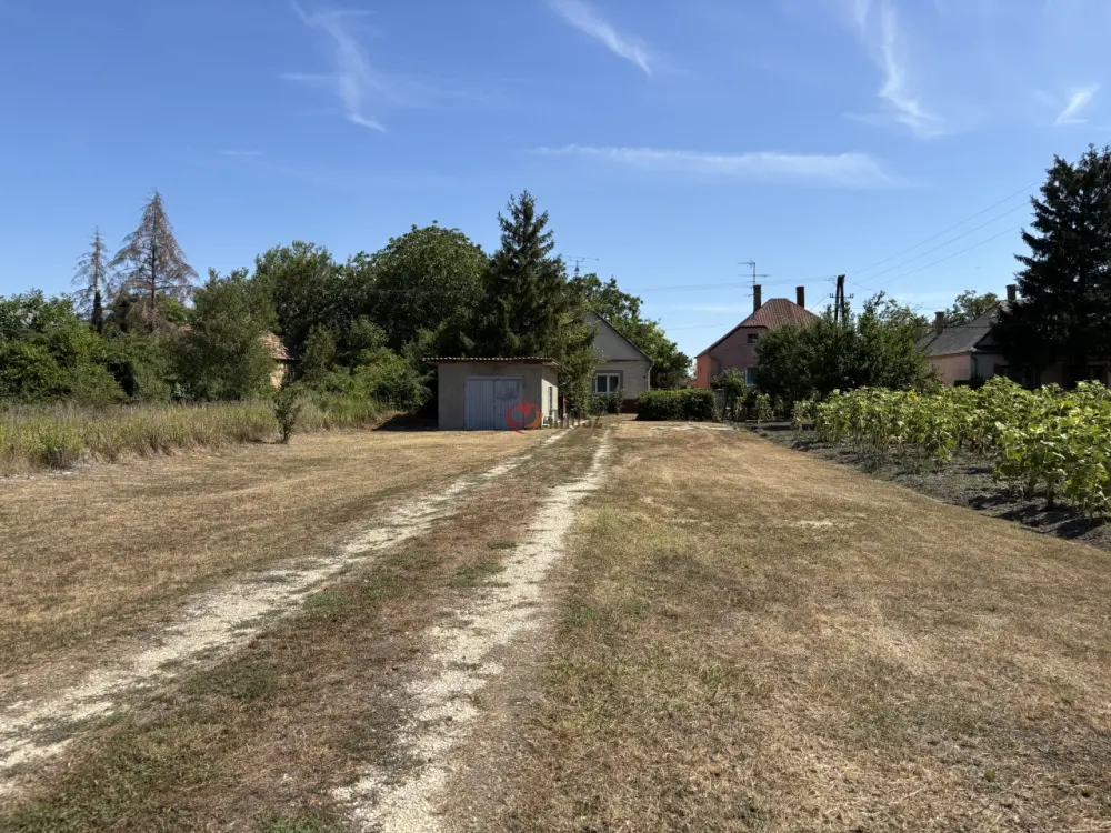 Győr-Moson-Sopron megye - Nyúl
