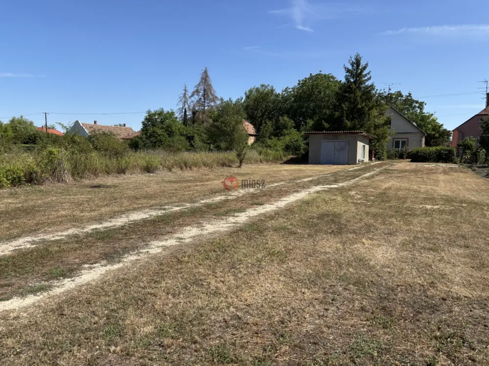 Győr-Moson-Sopron megye - Nyúl