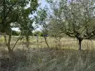 Fejér megye - Pátka