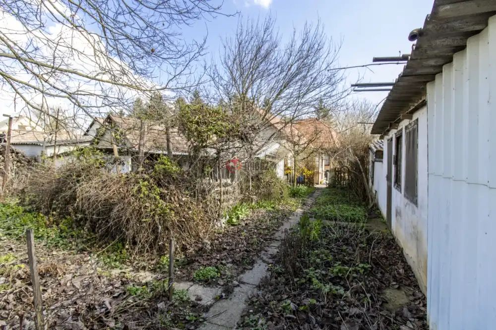 Pest megye - Püspökhatvan