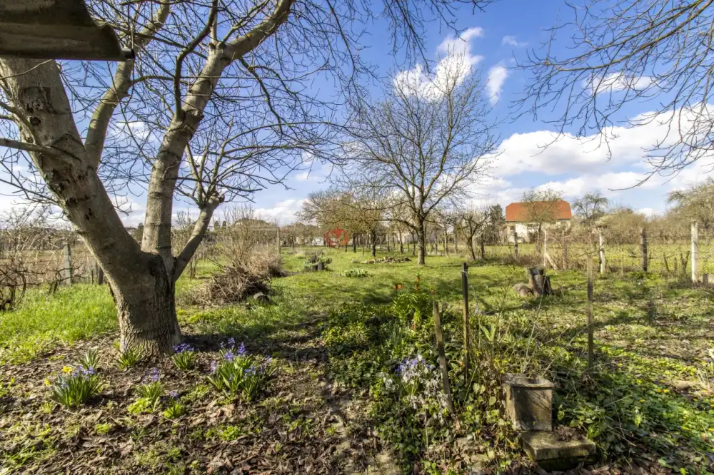 Pest megye - Püspökhatvan